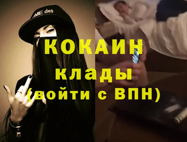 сатива Волосово