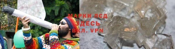 сатива Волосово