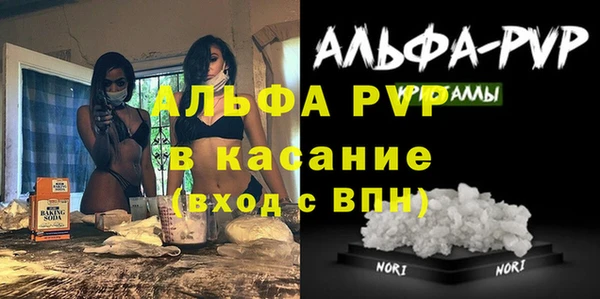 сатива Волосово