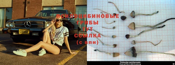 мдма Волоколамск