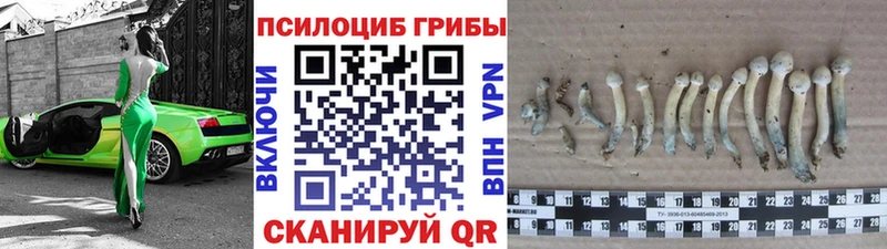 Псилоцибиновые грибы мицелий  кракен зеркало  Южно-Сахалинск 